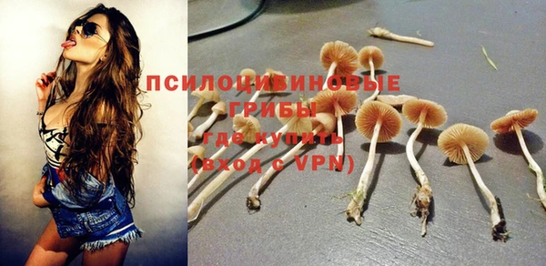 синтетический гашиш Заводоуковск