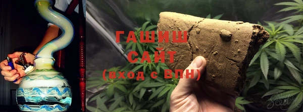 спиды Ельня
